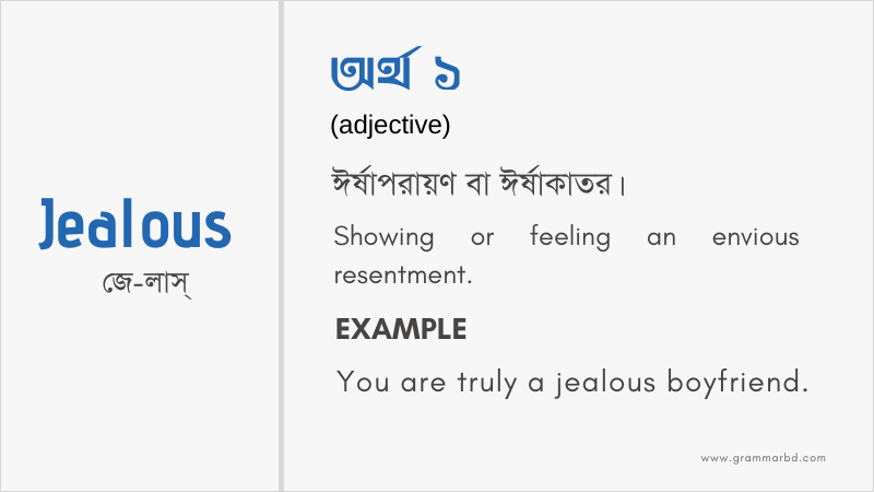 Jealous Meaning in Bengali - Jealous এর বাংলা অর্থ | Grammar Hub
