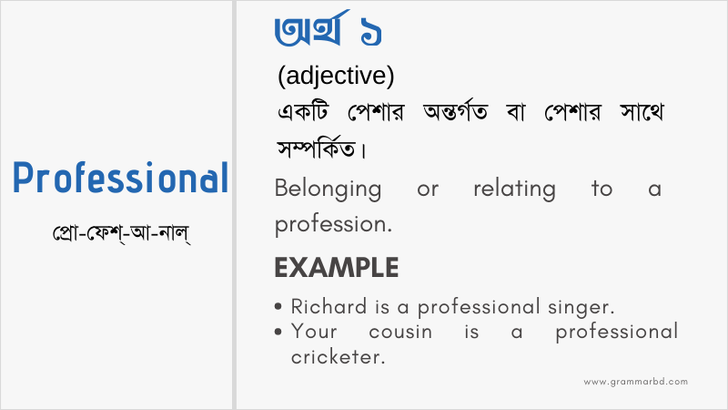 professional-meaning-in-bengali