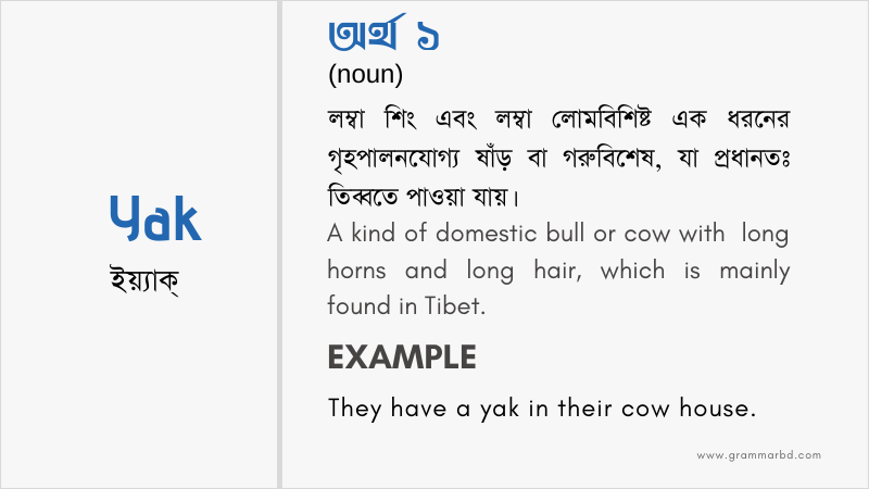 Yak Meaning in Bengali - Yak এর বাংলা অর্থ | Grammar Hub
