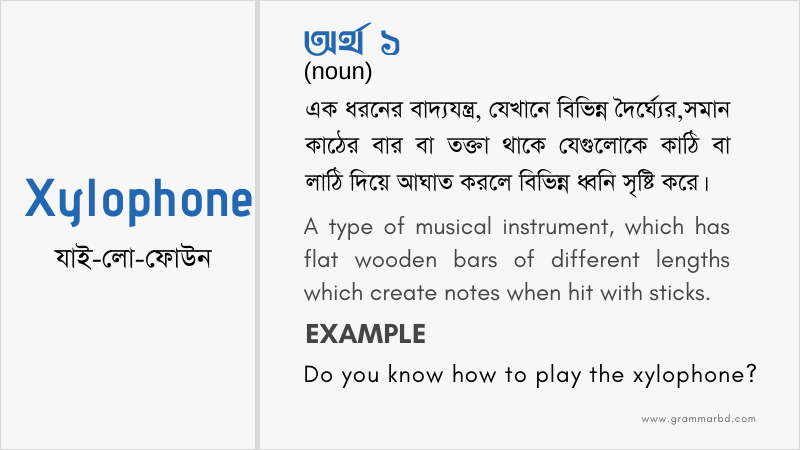 xylophone-meaning-in-bengali